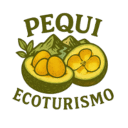 cropped-logopequipng.png