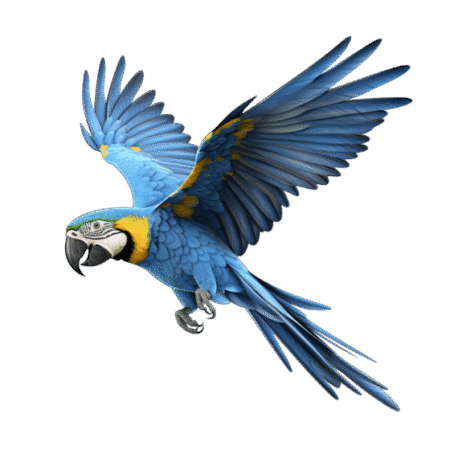 araraesquerda